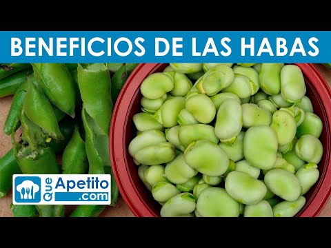 Descubre las propiedades nutricionales de las habas y sus beneficios para la salud