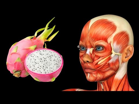 Descubre los beneficios que aporta la fruta del dragón rosa a tu salud
