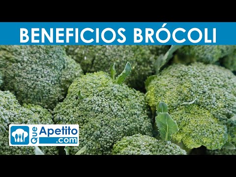 Descubre los nutrientes del brócoli