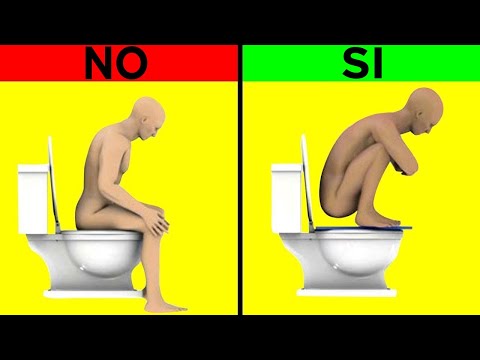 ¿Es verdad que el limón puede cortar la regla? Descubre la respuesta y los detalles