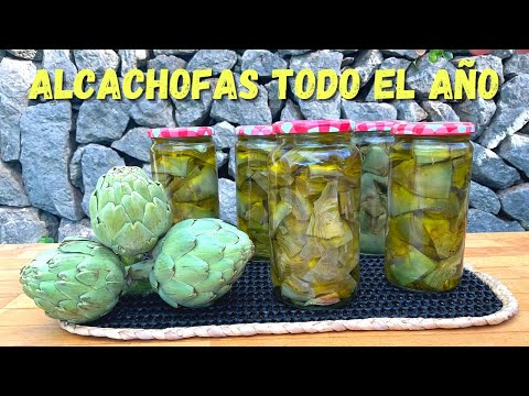 Pasos y consejos para hacer conservas de alcachofas en casa