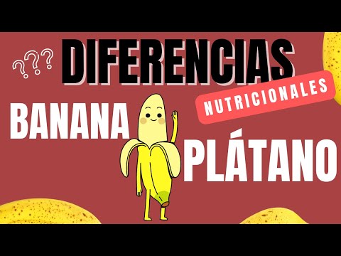 Plátano vs banana: ¿Cuál tiene más potasio?