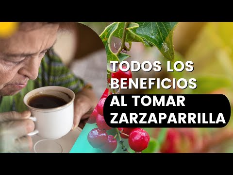 Propiedades y beneficios de la mezcla de alcachofa y zarzaparrilla