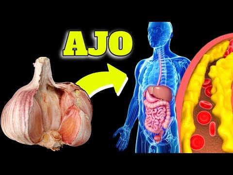 Tamaño y equivalencia de un diente de ajo